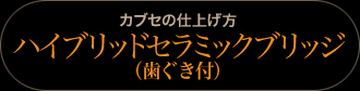 被せ(クラウン)の仕上げ方：ハイブリッドセラミックブリッジ（歯ぐき付）